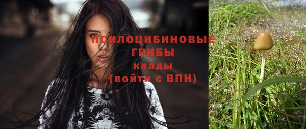 мескалин Вяземский