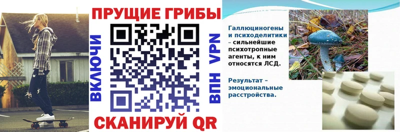 Галлюциногенные грибы Cubensis Пестово
