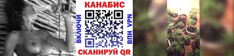цена   Пестово  Бошки марихуана семена 
